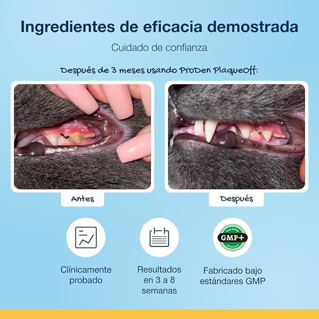 Foto 8 de 8 de ProDen PlaqueOff Pack Polvo para Gatos 40g y Crema Dental para Gatos Pack 6 Sobres Sabor Pollo