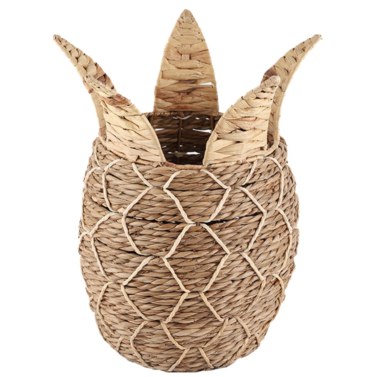 Panier de rangement naturel pour un bureau ordonné et un salon chaleureux au quotidien