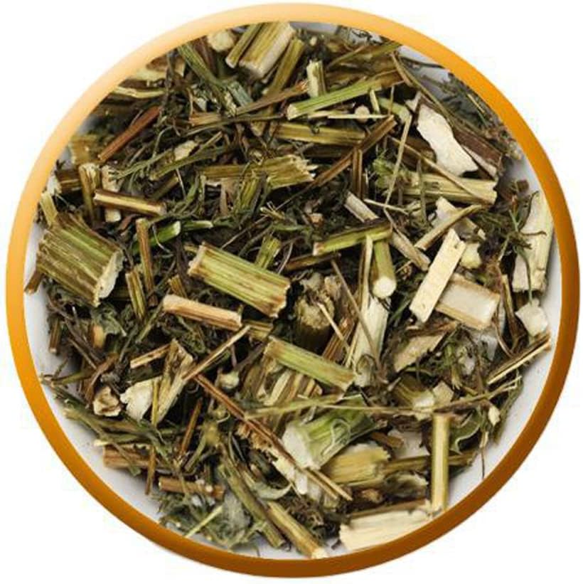 Artemisia Annua,Artemisia Annua Tea Artemisia Annua Organic,Artemisia ...