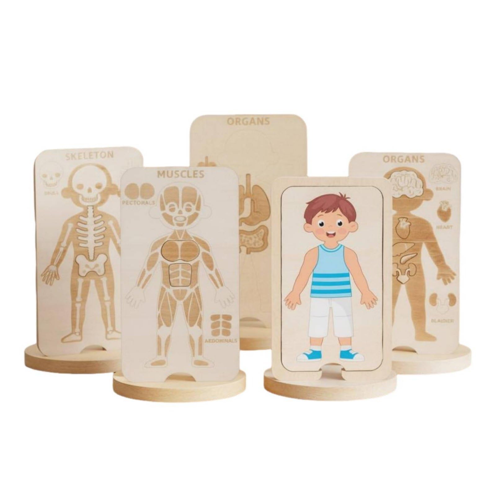 Amagogo Kit Didattico Corpo Umano per Bambini con Puzzle Stratificato in Legno per Scoprire Strati di Pelle E Muscoli Adatto per Sviluppo E Gioco Interattivo a Casa, Ragazzo