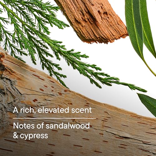 Image of Harry's Bar Soap for Men - Wildlands Scent - (2 Pack) 4 oz - Men's Body Soap - Made with Plant-Based Cleansers - No Parabens, Sulfates, or Dyes