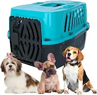 Caixa Transporte Para Cães e Gatos Até 25kg | Viagem Aérea | Trava de Segurança Plástico Polipropileno Alvorada Pet (Azul, 1)