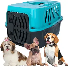 Caixa Transporte Para Cães e Gatos Até 25kg | Viagem Aérea | Trava de Segurança Plástico Polipropileno Alvorada Pet (Azul, 1)