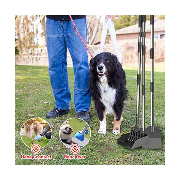 Pooper Scooper, Dog Pooper Scooper Long Handle Stainless Metal Tray and Rake Set for Large Medium Small Dogs Heavy Duty Pooper Scooper, Dog Pooper Scooper Long Handle Stainless Metal Tray and Rake Set for Large Medium Small Dogs Heavy Duty