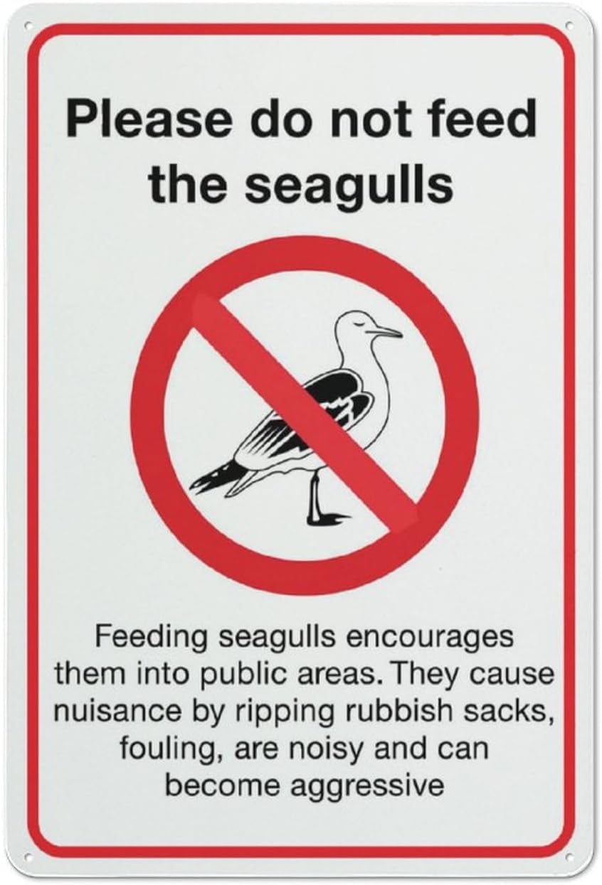 Bdeyfg Colour4 Please Do Not Feed The Seagulls Warning Metal Sign Tin Signs Aluminum For Outdoors Use Yard Farm Fence Home Wall Decor 8X12 Inch