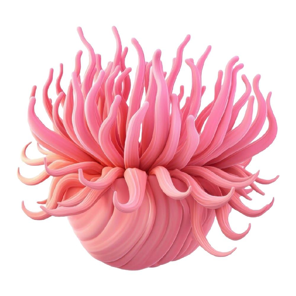 Gran Velada - Duftöl Aromatisches Exotische Blumen 1000 ml | Duftöl für Seifen, Kerzen & Kosmetik, Parfümöl für Diffuser, Rohstoff für DIY Naturkosmetik, Hochkonzentriertes Aroma