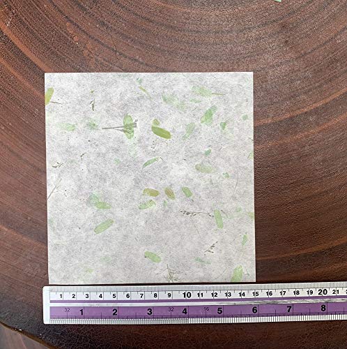 50 Sheets 6 X 6 Inches Natural Fiber Mullberry Tree Square Origami Paper Arts Folding Craft, Decoration Paper, Square Folding Paper Diy Crafts (Mixed Green) #TOP5