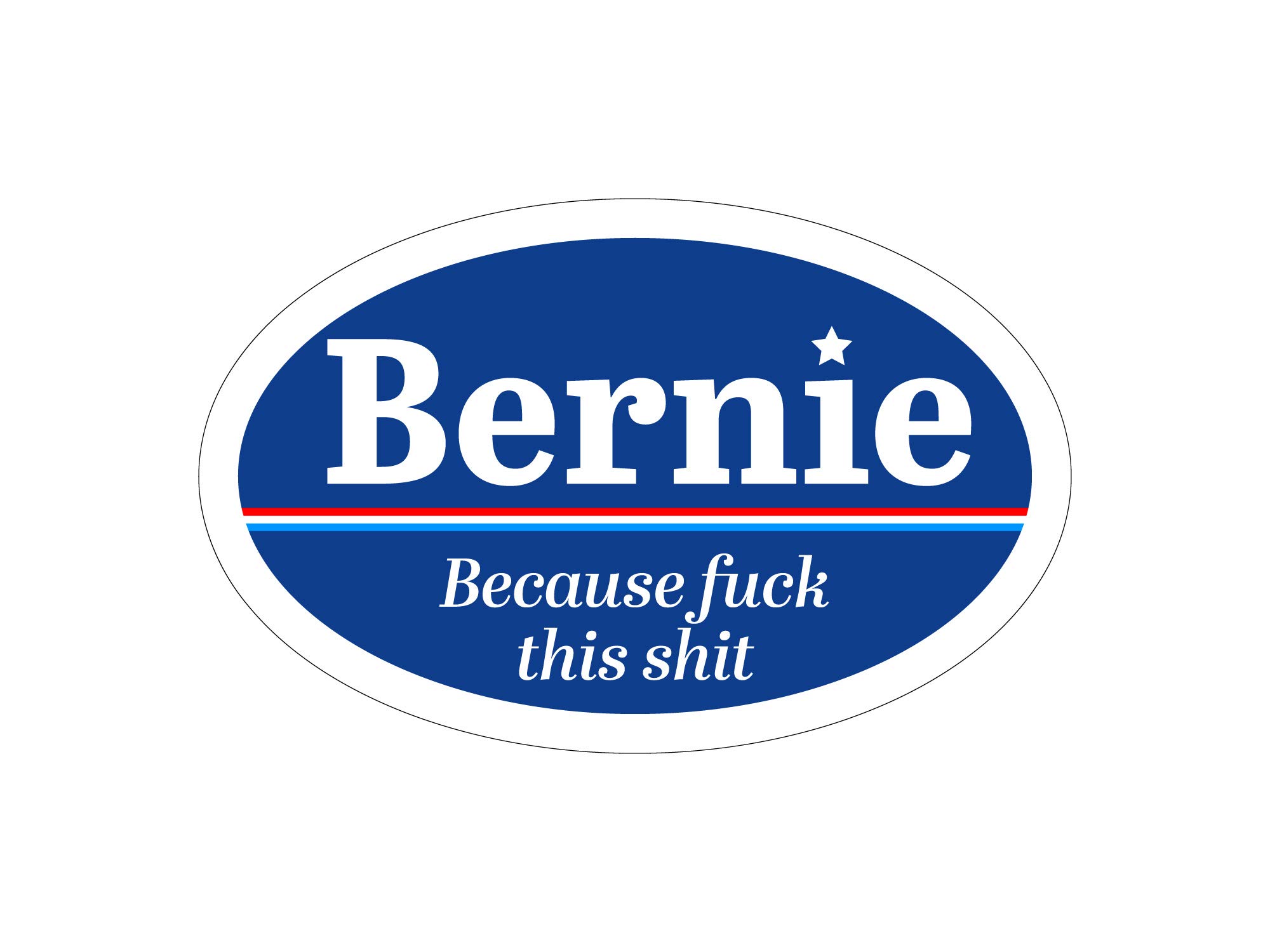 Bernie Because Fuck This Shit Bernie Sanders for Socialist President 2020 Oval Car Refrigerator Magnet TO506