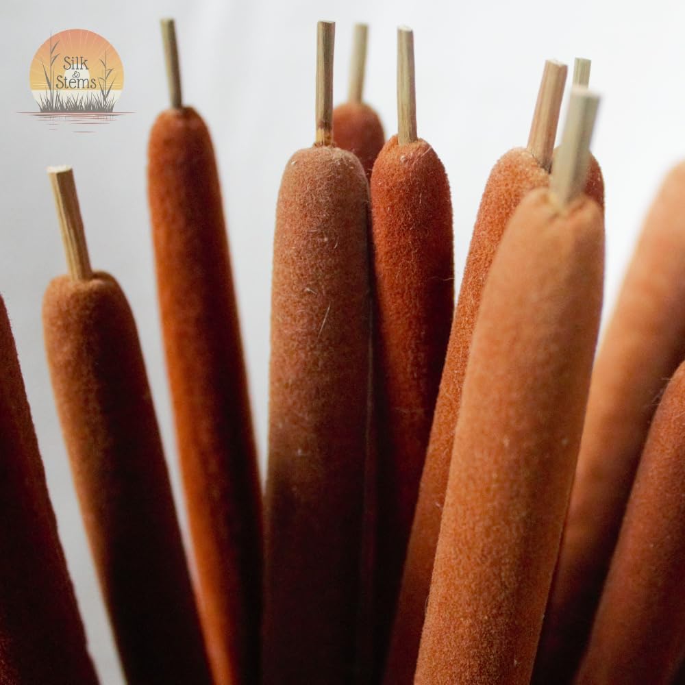 Premium Dried Cattail Flowers, 25 PCS Assorted Cattails for Modern Boho Decor, Pampas Grass Decorations, Farmhouse Wedding Bouquet, Rustic 17 Inch Vase Arrangements