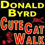 cute cats tumblr  Cute - The Cat Walk