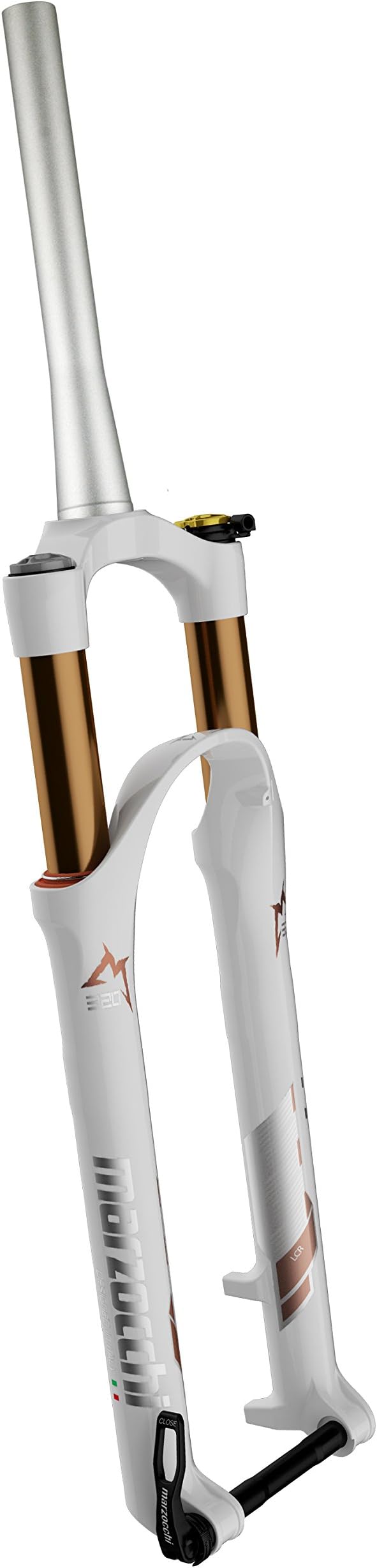 320 Marzocchi (2015)