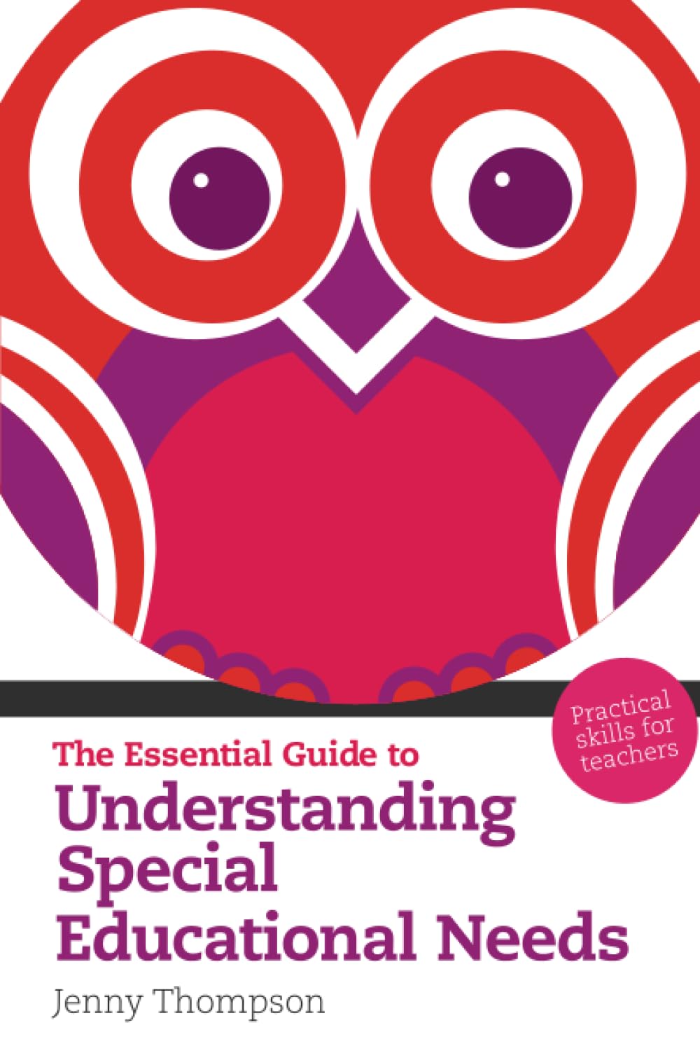 The Essential Guide to Understanding Special Educational Needs: Practical Skill