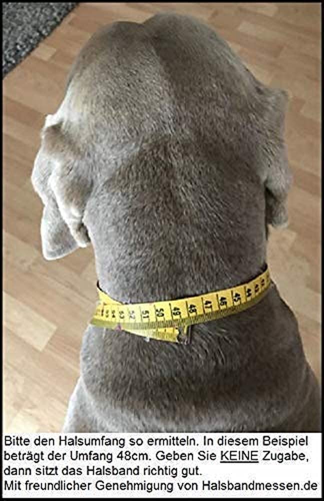 Premium EM-Keramik Halsband für Hunde aus Trendmaterial Paracord. Jetzt auch mit Namen. Über 100000 Variationen möglich. Infotelefon 017682042883