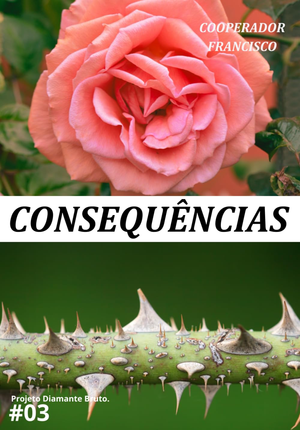 Consequências (Série Projeto Diamante Bruto.)