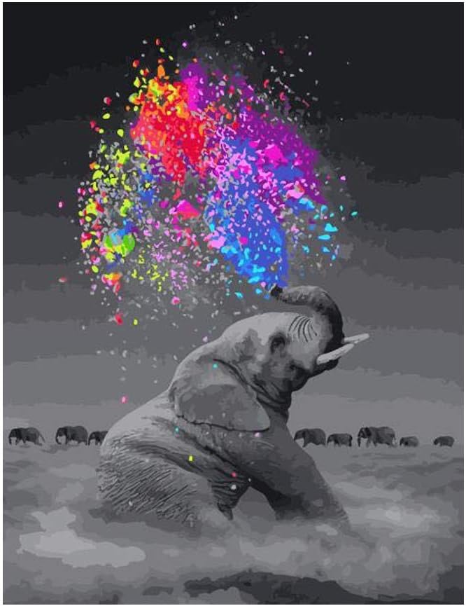 Kimily DIY Paint by Numbers for Adults Kids Elephant Paint by Numbers Animals DIY Painting Elephant Acrylic Paint by Numbers Painting Kit Home Wall Living Room Bedroom Decoration Animal Elephant