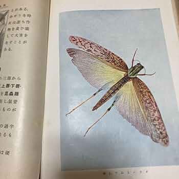 中学理科要解 古書 61Rf7cpGnIL._UF350,350_QL50_.jpg