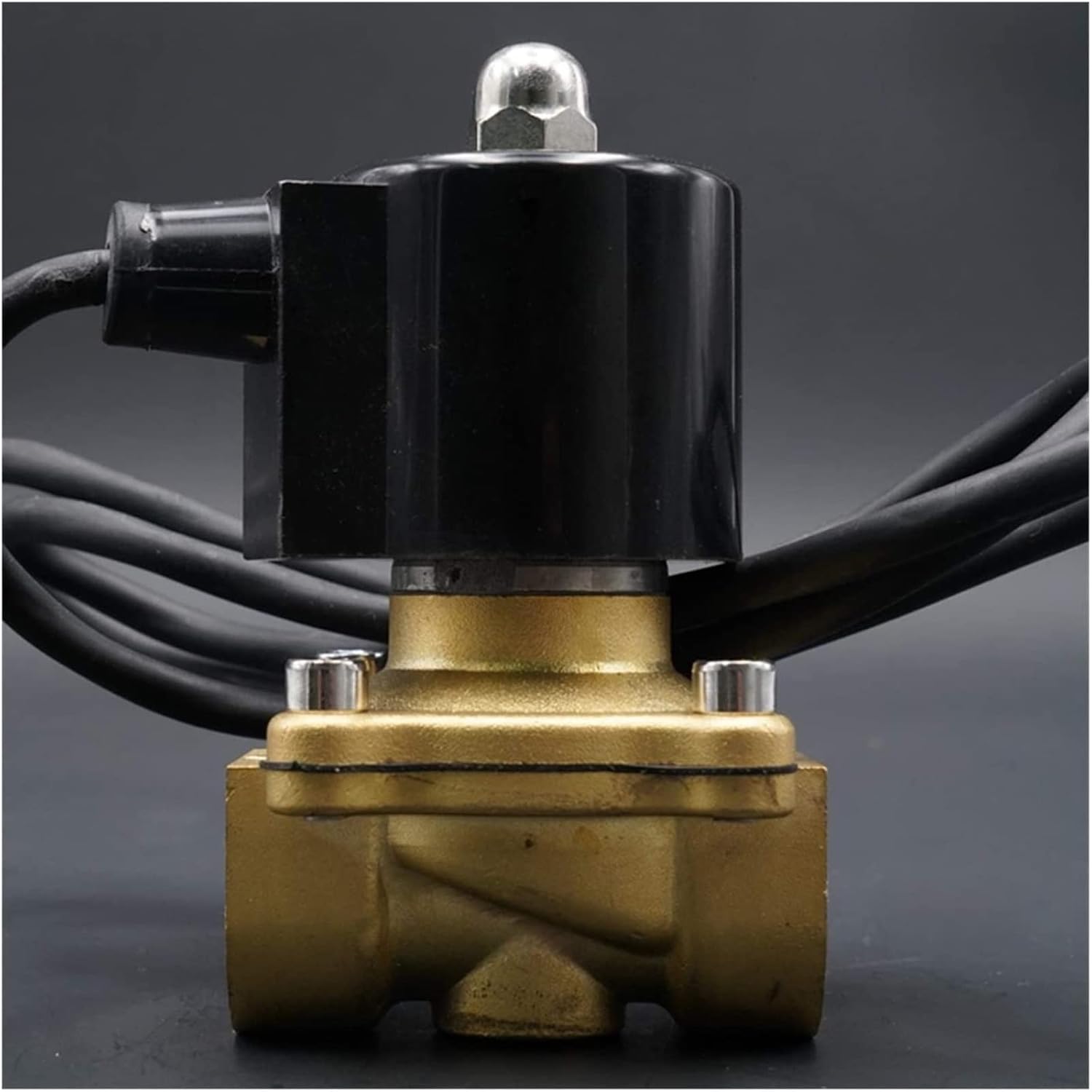 cruciani ダウンベスト（S）超美品♡ Cruciani（クルチアーニ）公式