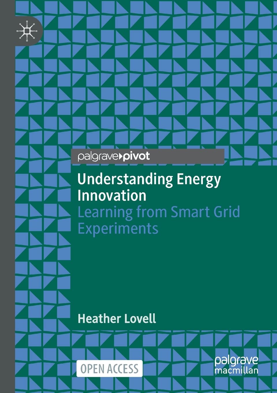 Understanding Energy Innovation: Learning from Smart Grid Experiments
