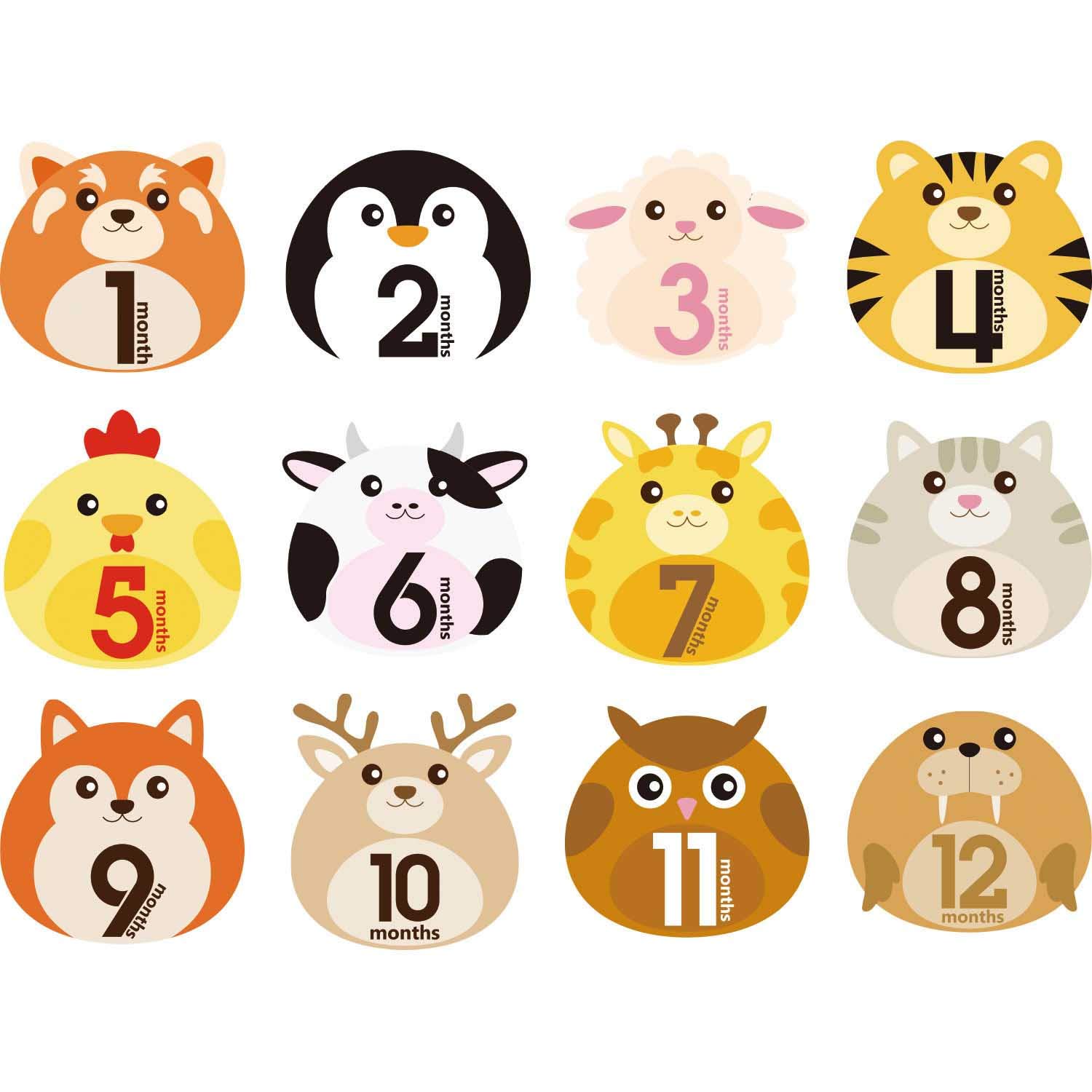 Baby Monthly Stickers, 12 Pack Cute Animal Baby Monthly Milestone Stickers for Baby Shower, Month-by-Month Baby Month Stickers for Girl/Boy (Month Stickers 1)