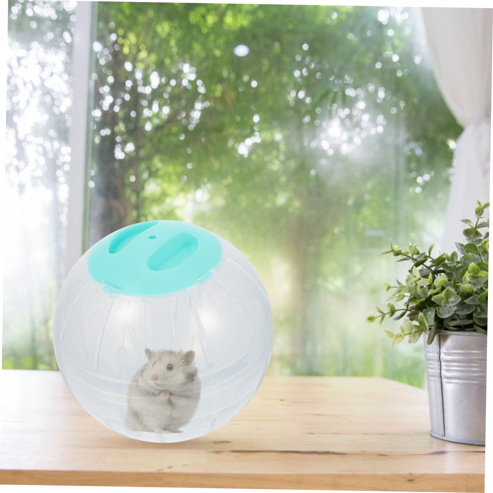 COLLBATH 4stücke Hamsterball Große Transparente Laufkugeln Für Hamster Nager-Spielzeug Bewegung Und Spaß Für Zwerghamster Und Andere Kleintiere
