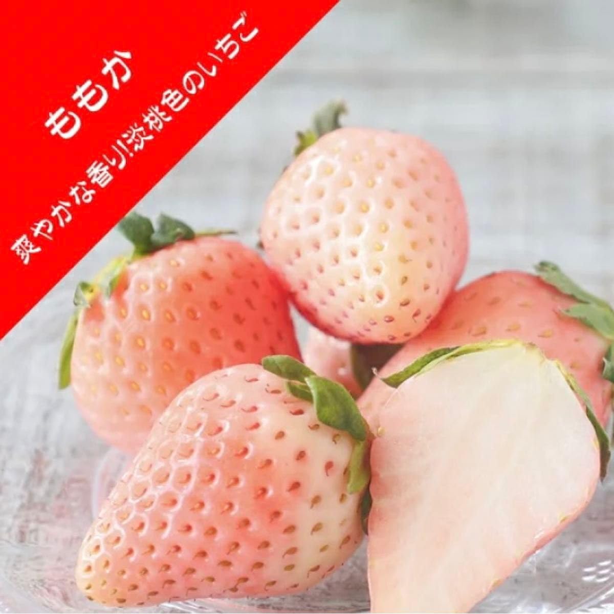 Amazon.co.jp: 貴重品種いちご苗 桃香 抜き苗3苗 : ホビー