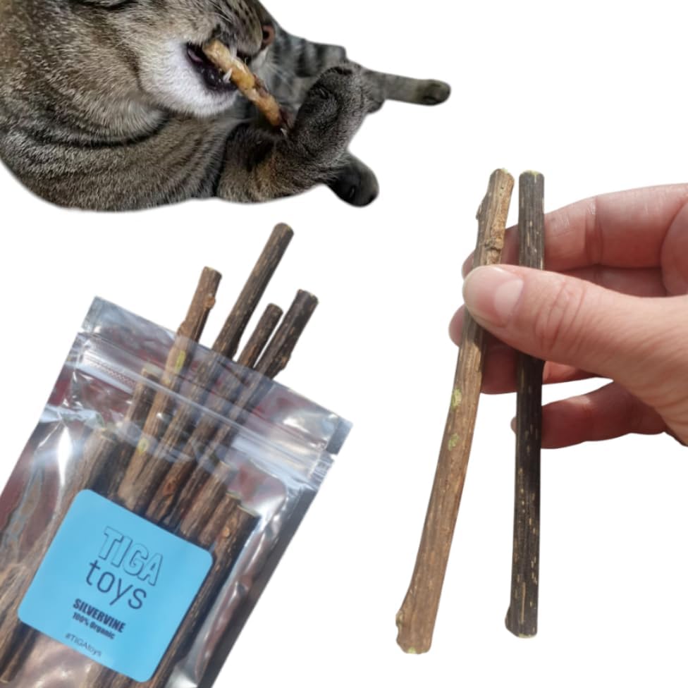 10 x Silvervine Sticks Actinidia Polygama Activity Cat Chew Sticks aka Matatabi (10 Sticks) Cat Nip alternative