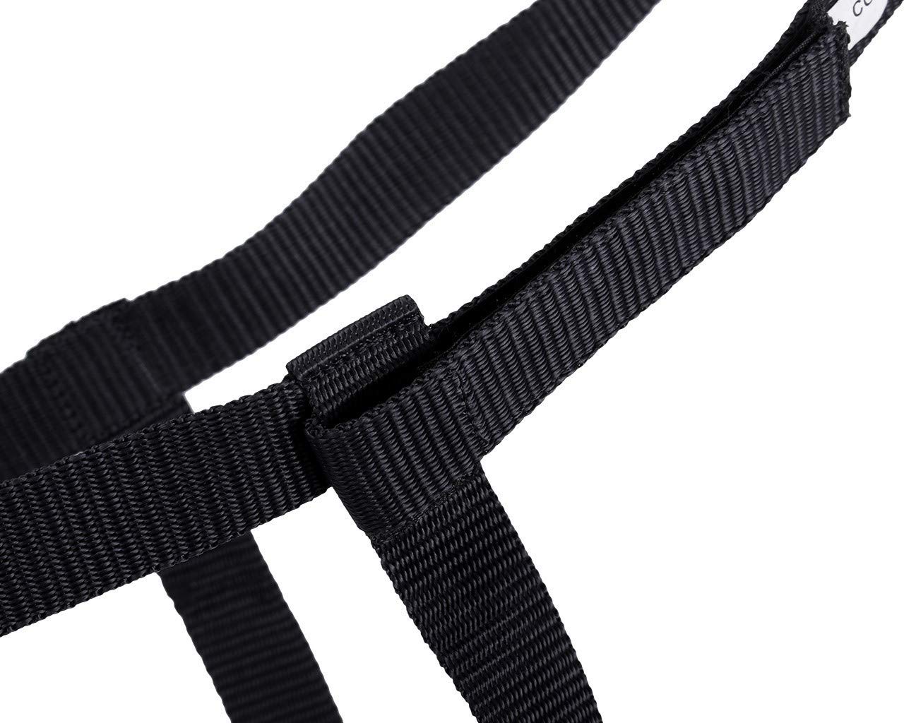 QHP Weidehalfter Halfter mit Klettverschluss schwarz