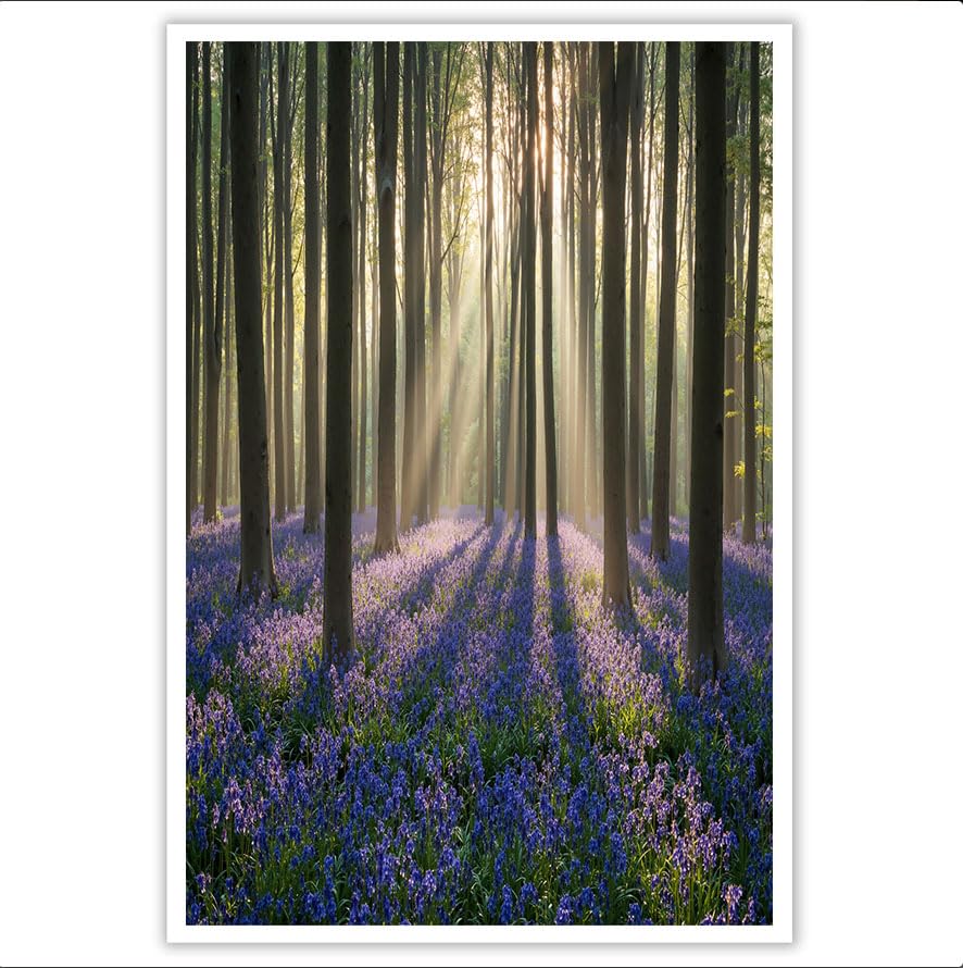 Tableau décoration murale salon forêt de jacinthes impression sur toile jaune