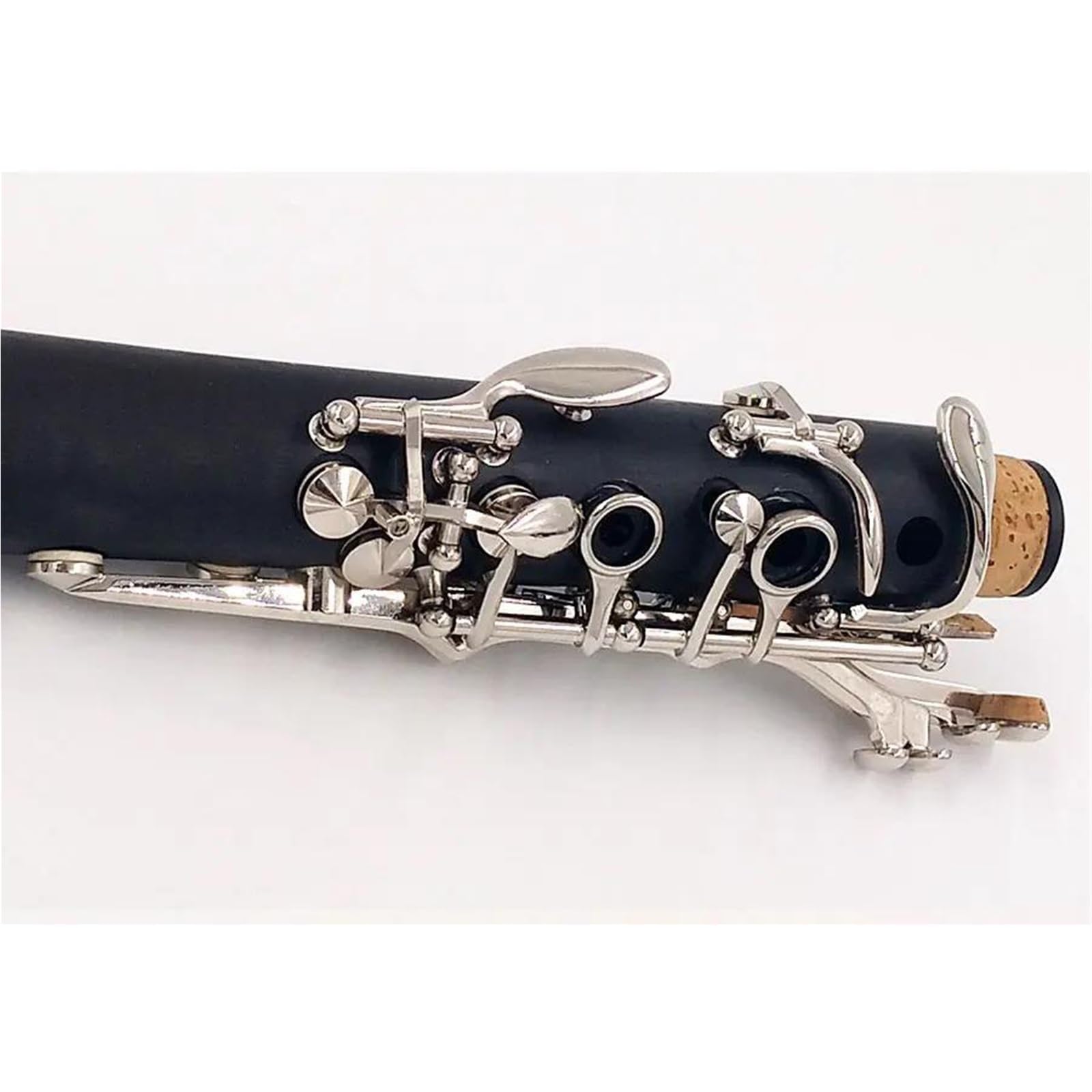 Gli Amanti Della Musica Per Principianti Di Clarinetto Professionale In Chiave C Si Esercitano A Suonare