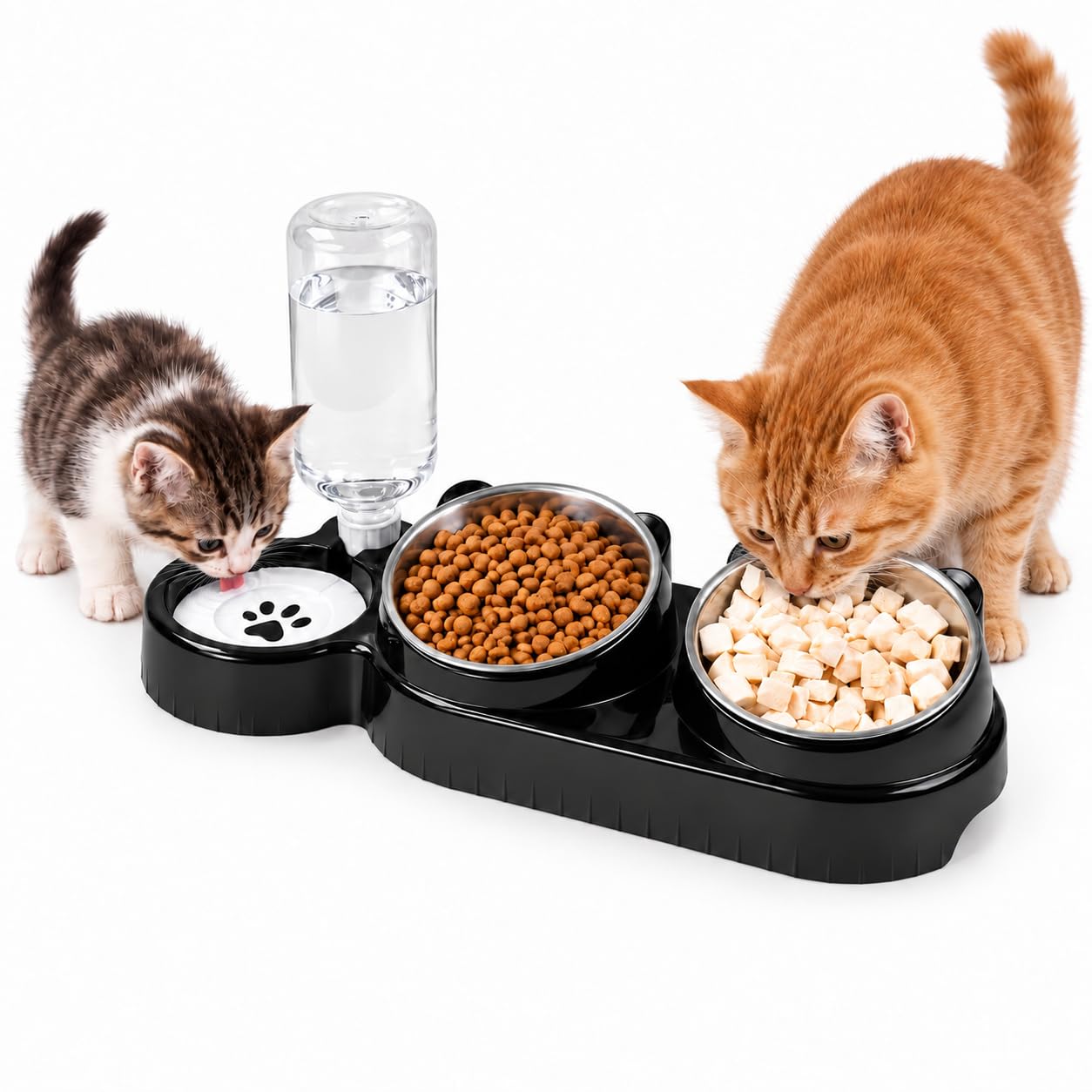 3 in 1 Raised Cat Food Water Bowl Set Tilted Stand with Water Dispenser