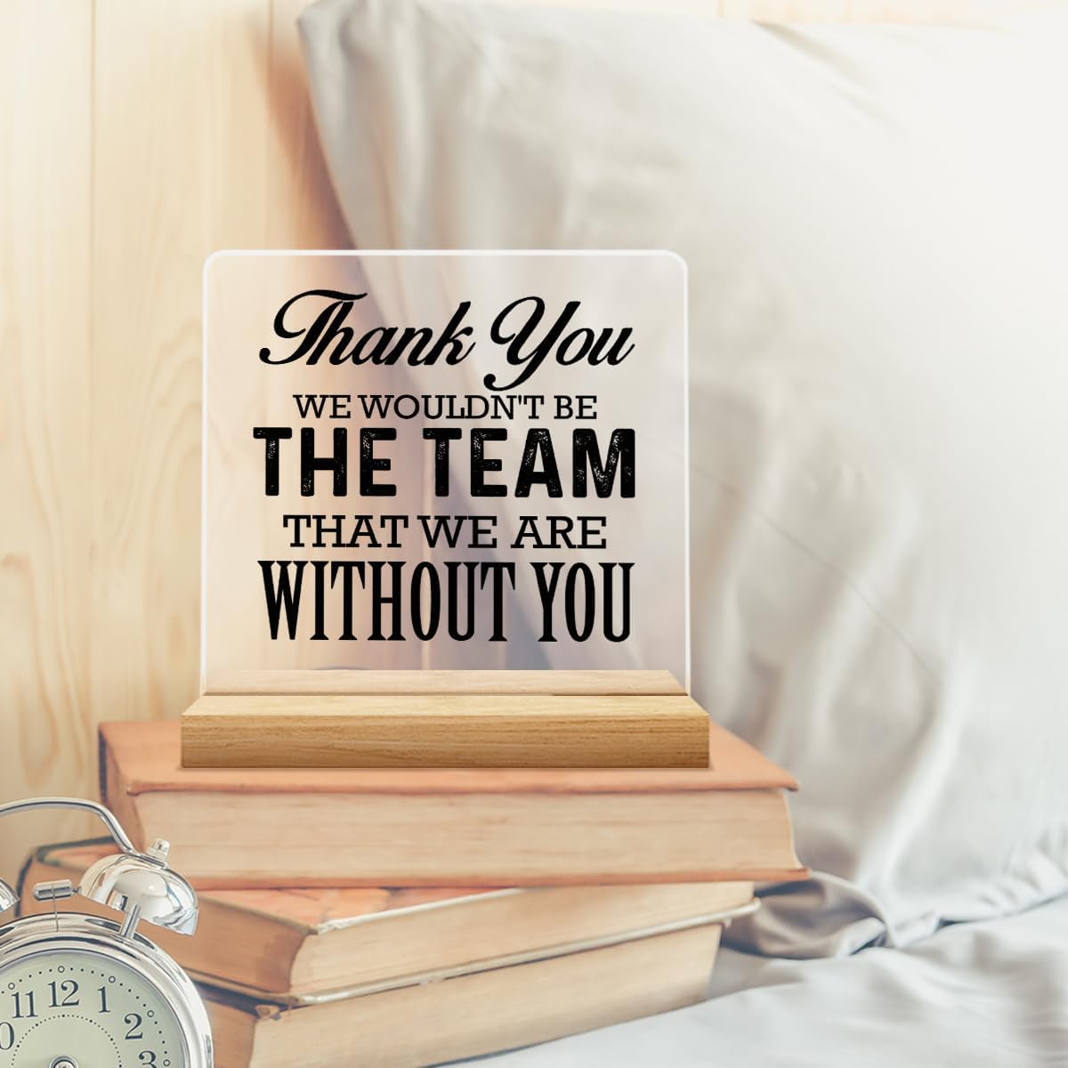 Thank You Gift for Team, Coworkers Gifts for Men Women, Appreciation Gift for Coworkers, We Wouldn't Be the Team That We Are Without You Acrylic Desk Sign Office Decor - Image 5