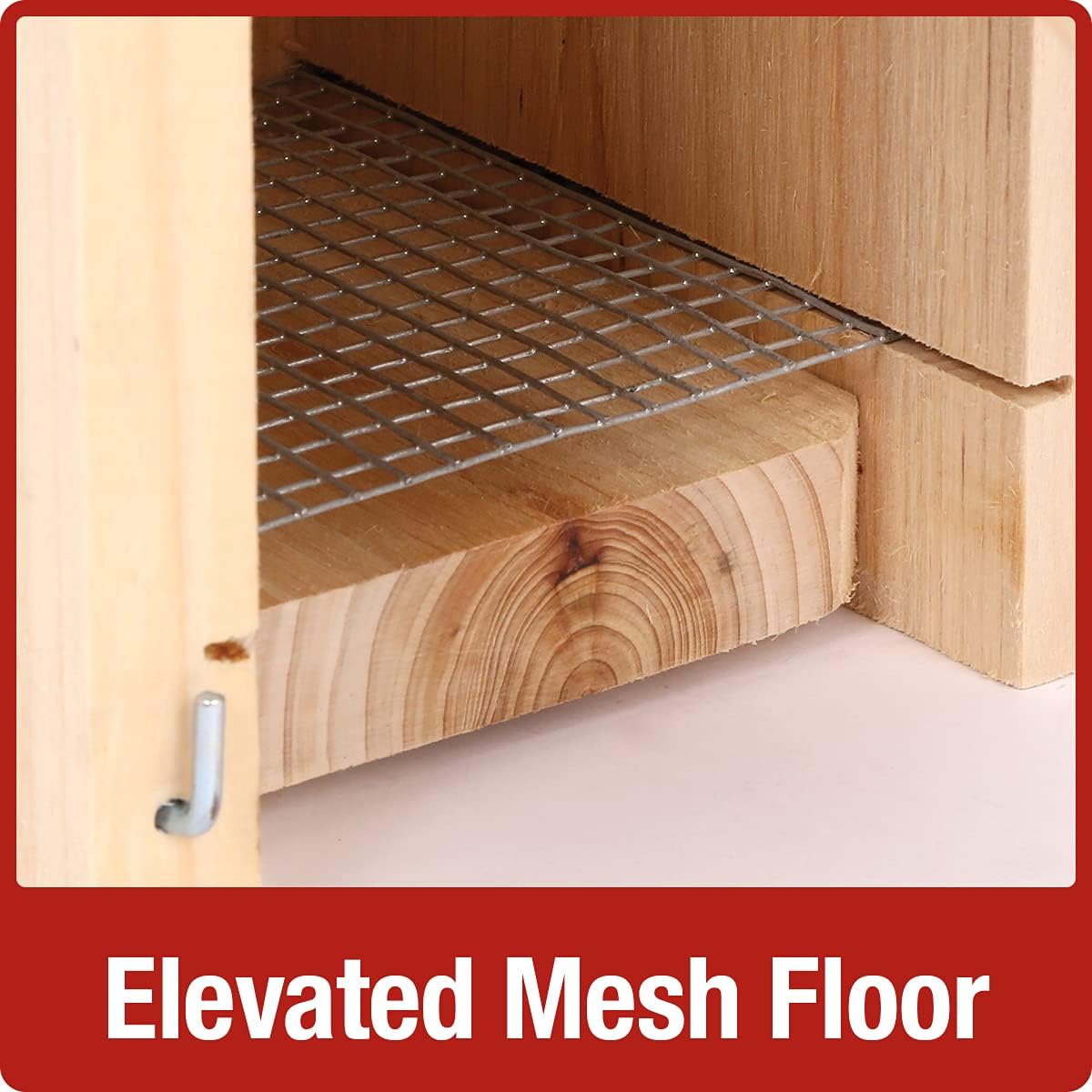 Nature's Way Bird Products CWH4 Cedar Bluebird Viewing House : Everything Else