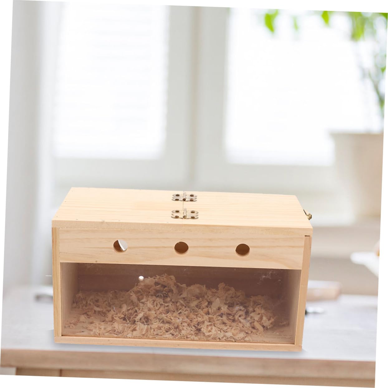 Cockatiel Nistkasten Aus Holz Transparente Vogelzuchtbox Für Kleine Vögel Wetterfestes Vogelhaus Für Sittiche Und Lovebirds Langlebiger Nistplatz Für Zucht Und Brutpflege