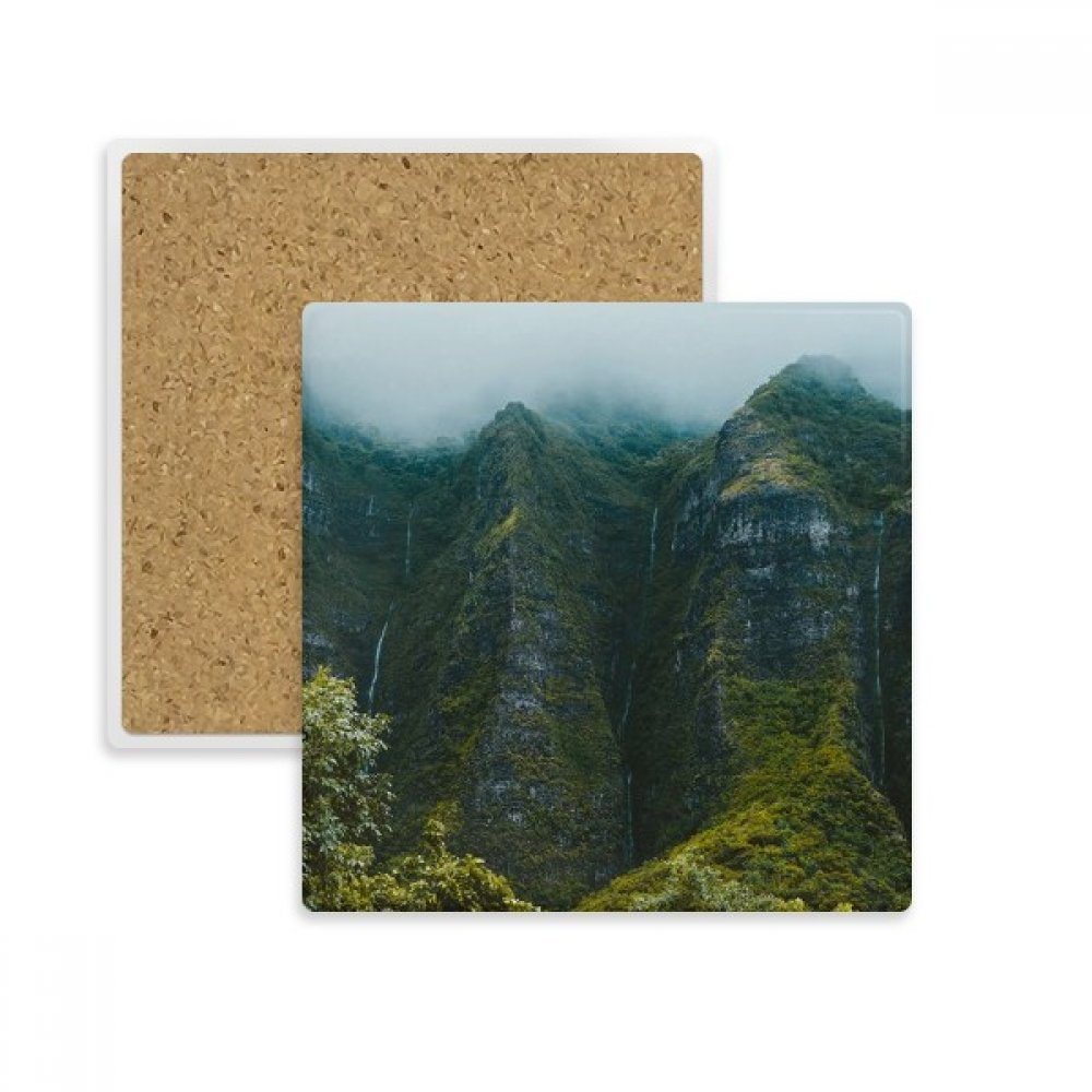 Zéro tache avec le coupe du coaster de pierre forêt multicolor