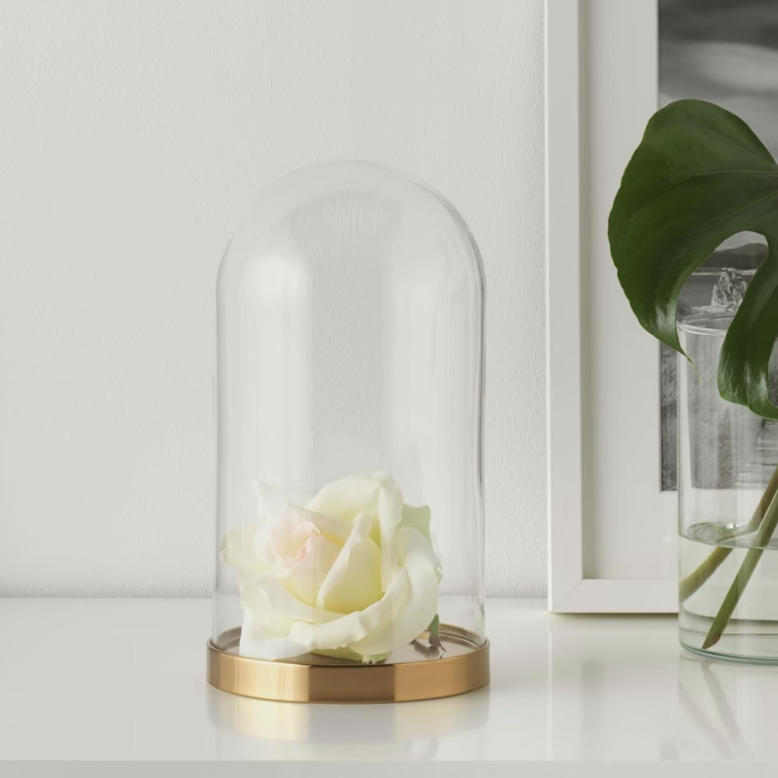 BEGÅVNING Glass Dome with Base, 26 cm (10 ")