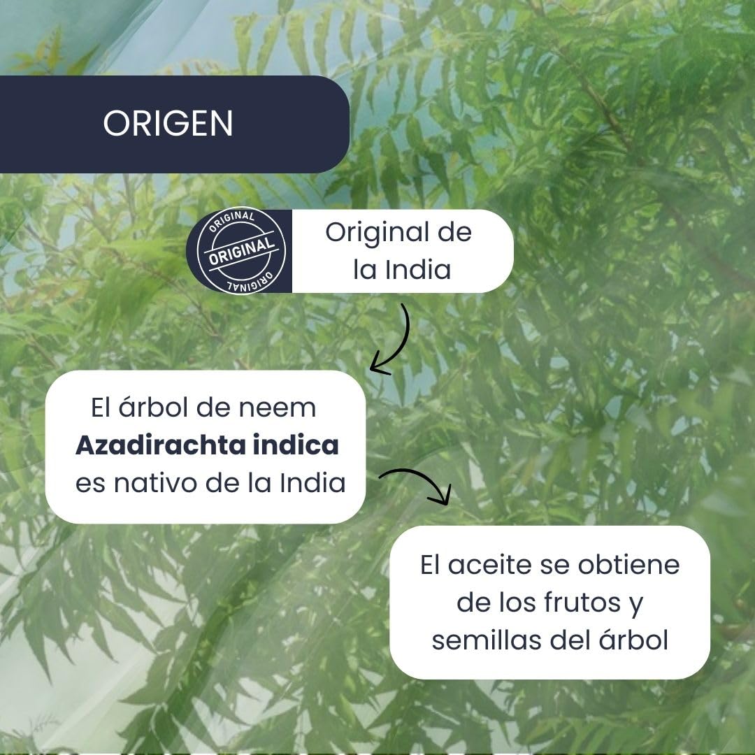 PLANTAWA Aceite de Neem 20L | Materia Prima Concentrada de Origen Natural | Ideal para Preparaciones Caseras | Aplicación Versátil Interior y Exterior | Extraído del Árbol Azadirachta