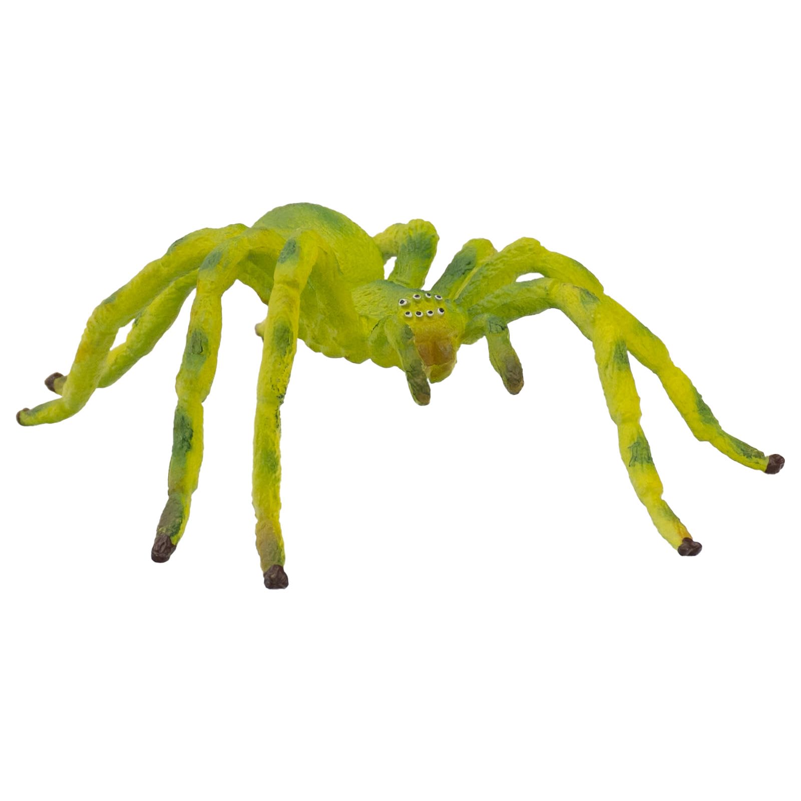 Amazon.com: Bullyland Green Huntsman Spider Action Figure : Toys