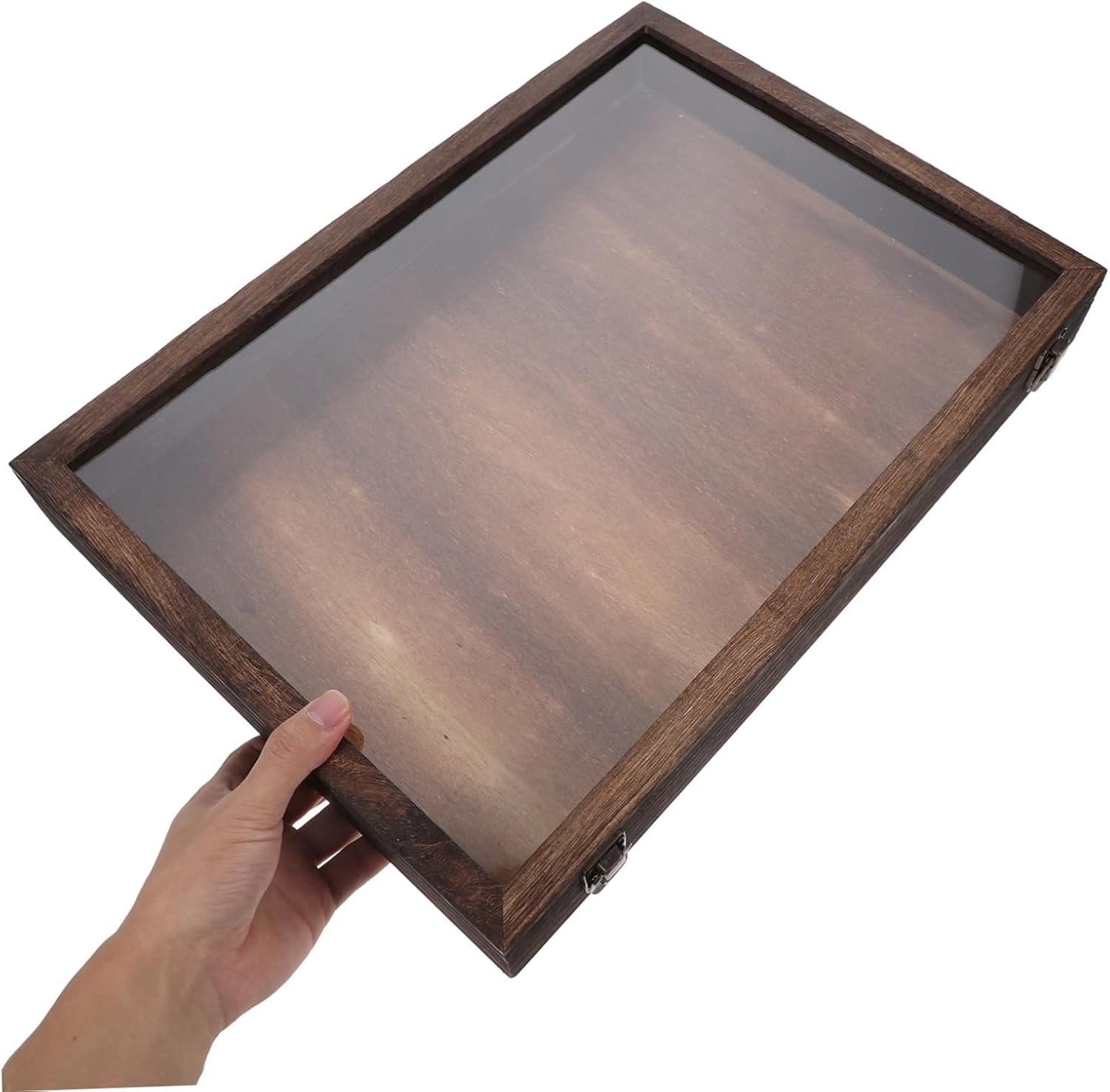 LIFKOME Wooden Insect Storage Box for Butterflies Dried Flower Display Case Specimen Collection Box