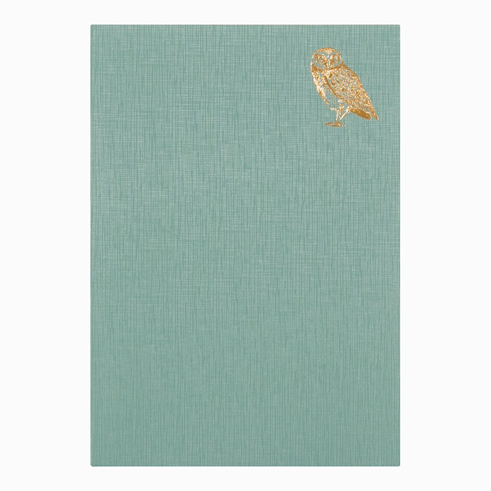 Amazon.co.jp: DESIGNPHIL ミドリ(MIDORI) 手帳 日記 おやすみA