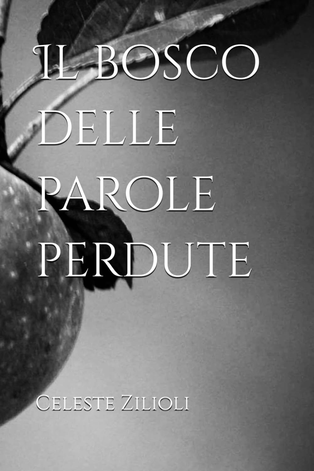 Il bosco delle parole perdute