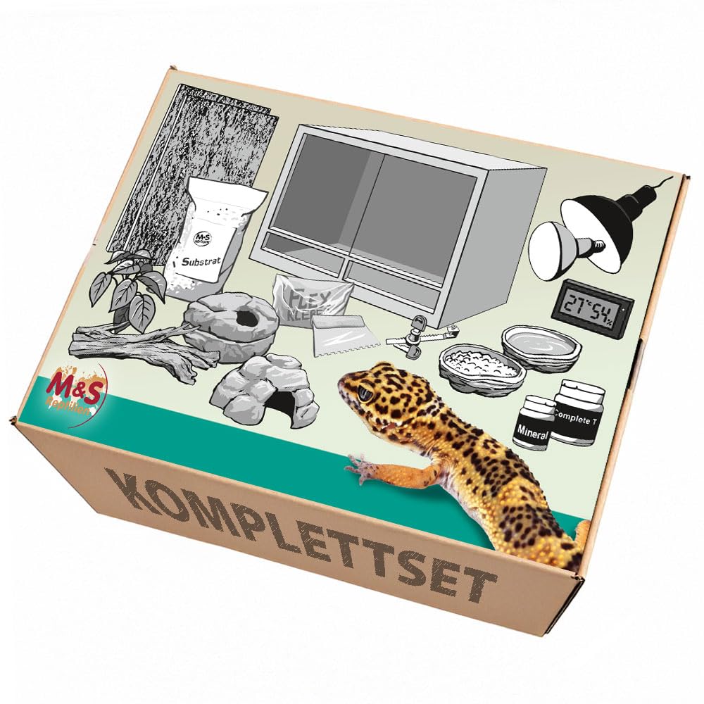 Komplettset: Für Leopardgeckos (100x50x50cm) Terrarium mit Holz-Terrarium