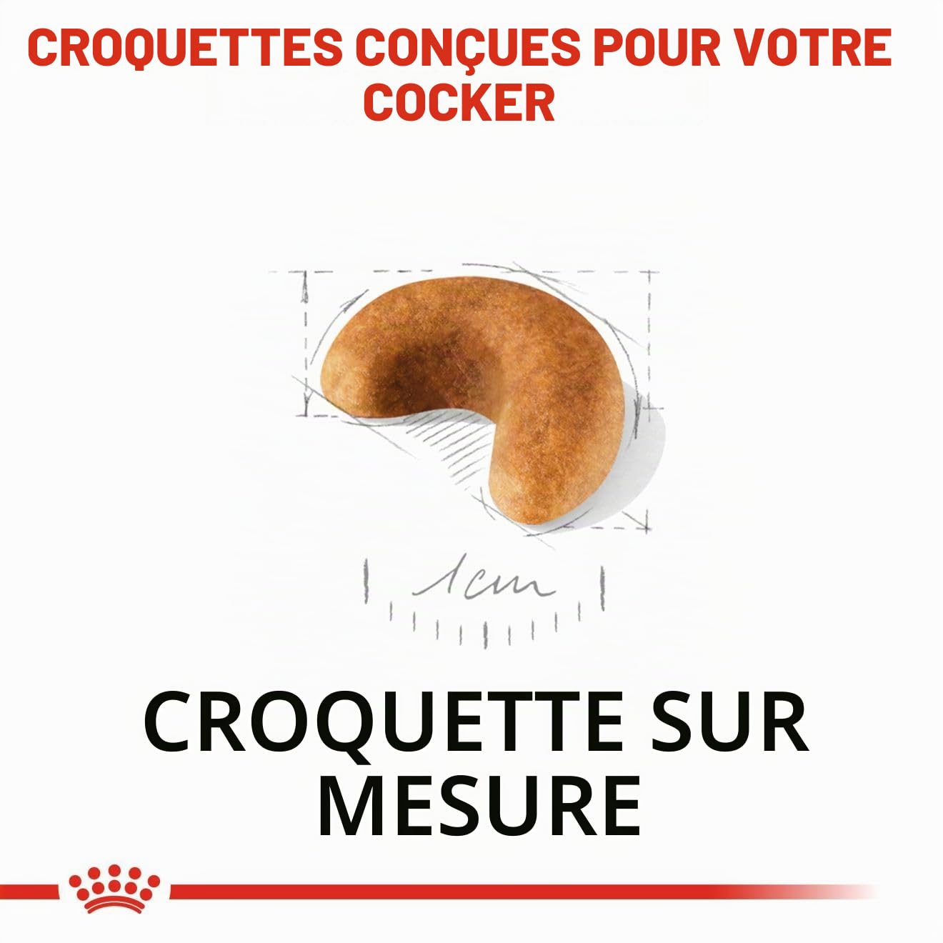 ROYAL CANIN COCKER JUNIOR sac de 3 kg/Croquettes pour chiot COCKER de 2 à 12 mois