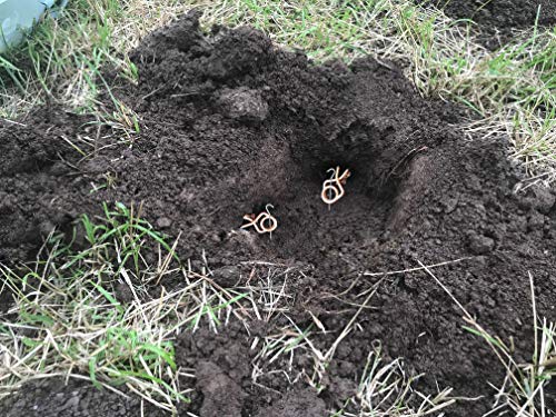 Trappole Per Talpe Putange Per Arvicole O Topi Talpa (Set Da 10). Accessori Anti Talpe Contro I Roditori. Non C'è Bisogno Di Petardi O Repellenti Ad Ultrasuoni Per Eliminare I Parassiti Dal Tuo Prato. - 9