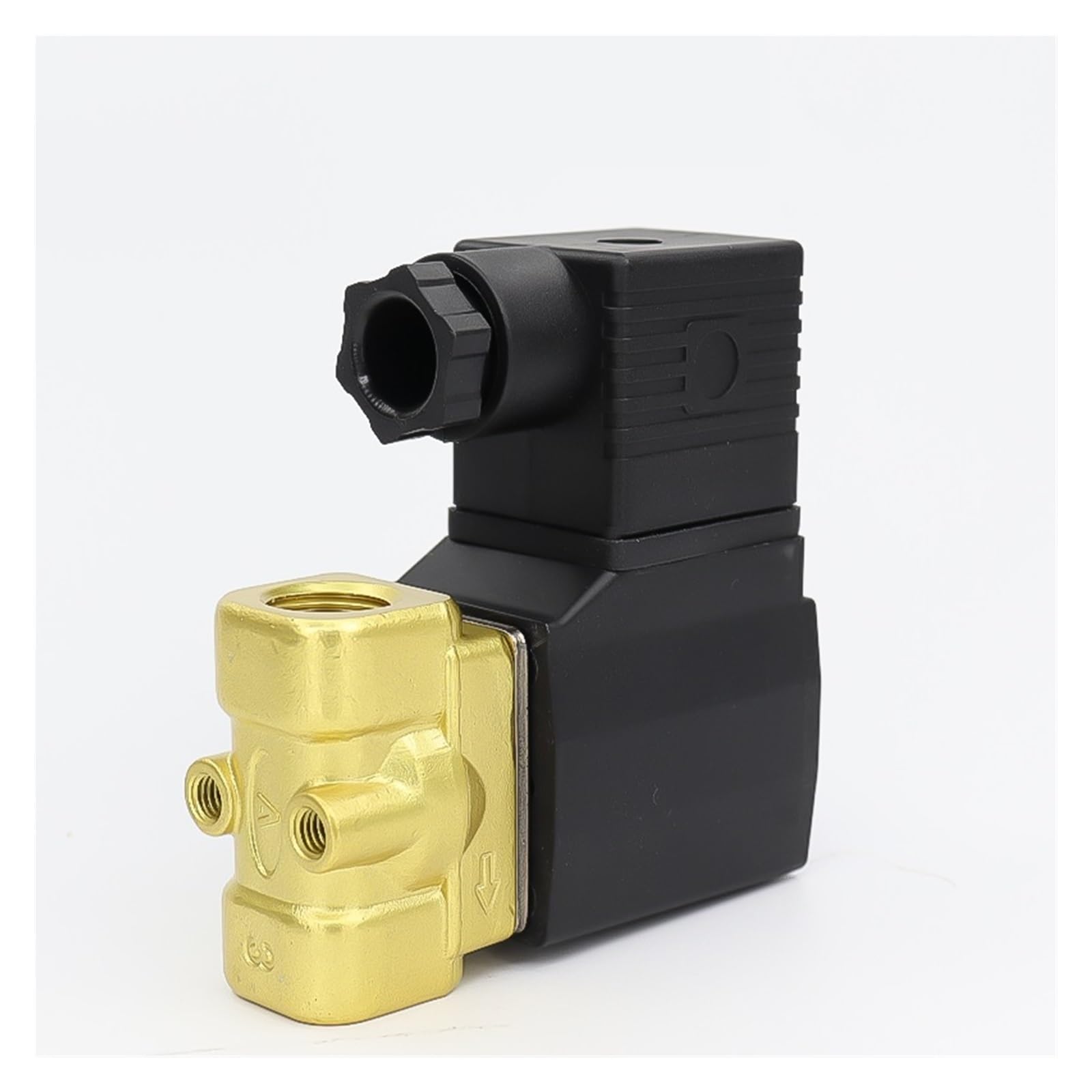 Électrovanne 2W050-15 AC220V de vanne de vidange pour circuit d'eau G1/2