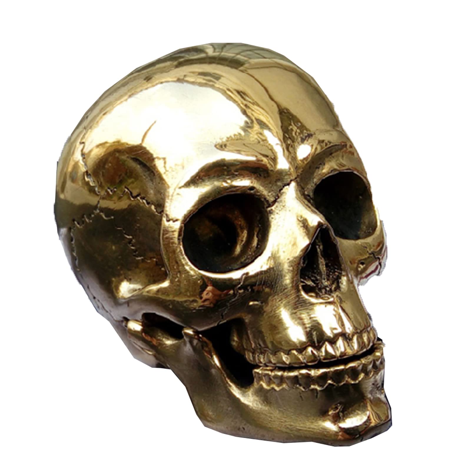 KZ55H Feng Shui Brass Statue Skull Model for Copper Statue Collectible Skull Figure Sculpture Decorative Gift