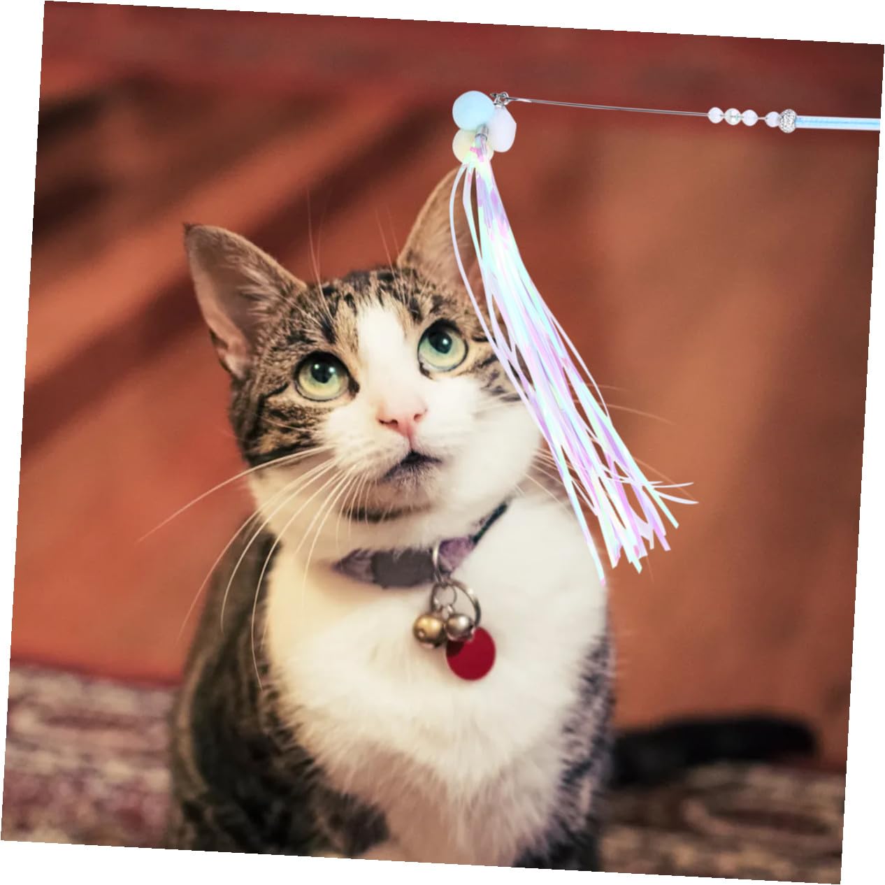 DOITOOL 9piezas Juguetes Interactivos para Gatos Pack Cat Teaser Diseño y Divertido Material para Mantener Tu Gato y Feliz