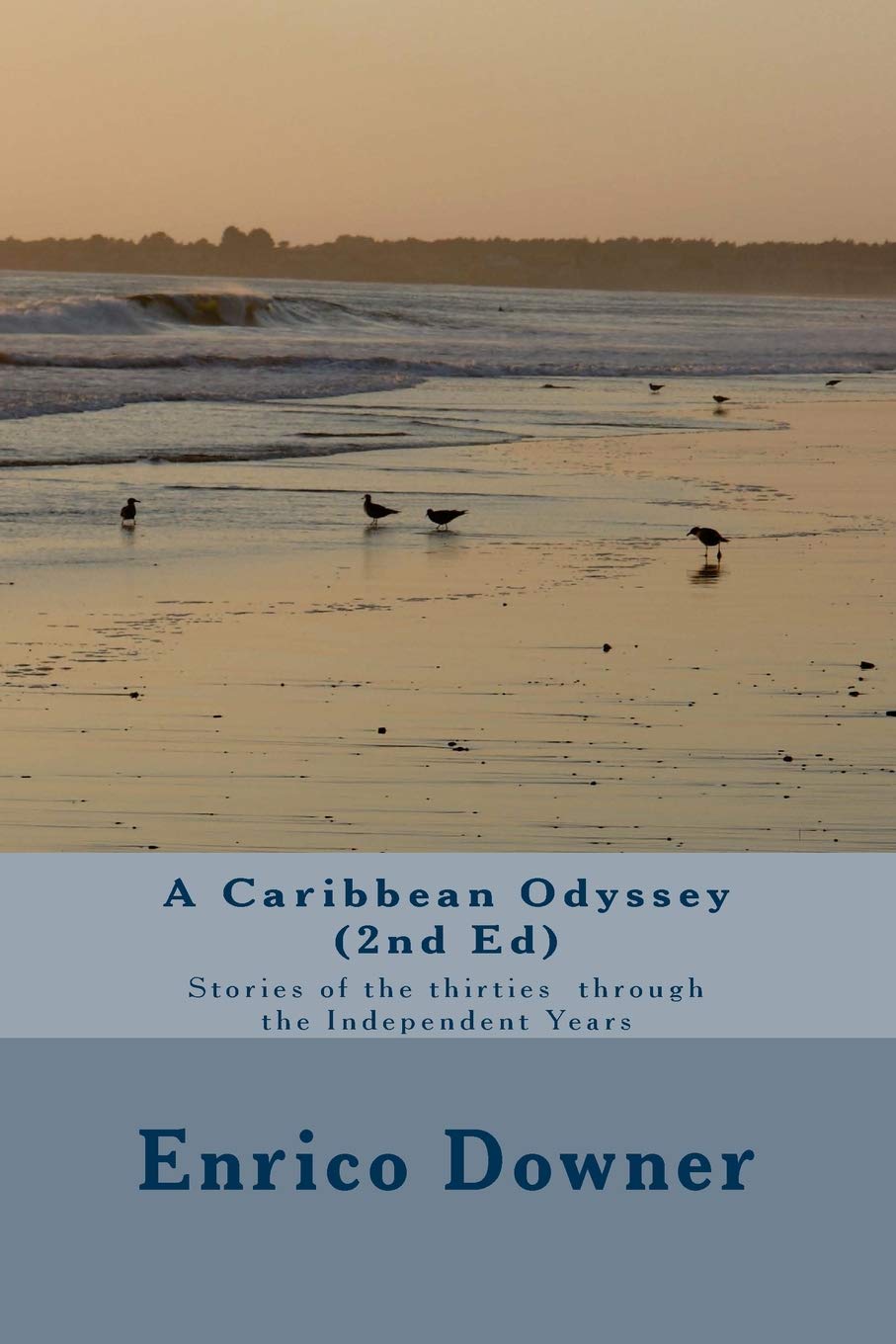 A Caribbean Odyssey (2nd Ed): Stories of the Thirties through the Independent Years