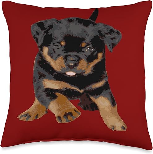 Rottweiler - Rotties - Rott - Dog Lover - taiche Linda almohada de vector de perro Rottweiler para correr, 16 x 16 pulgadas, multicolor Rottweiler - Rotties - Rott - Dog Lover - taiche Linda almohada de vector de perro Rottweiler para correr, 16 x 16 pulgadas, multicolor