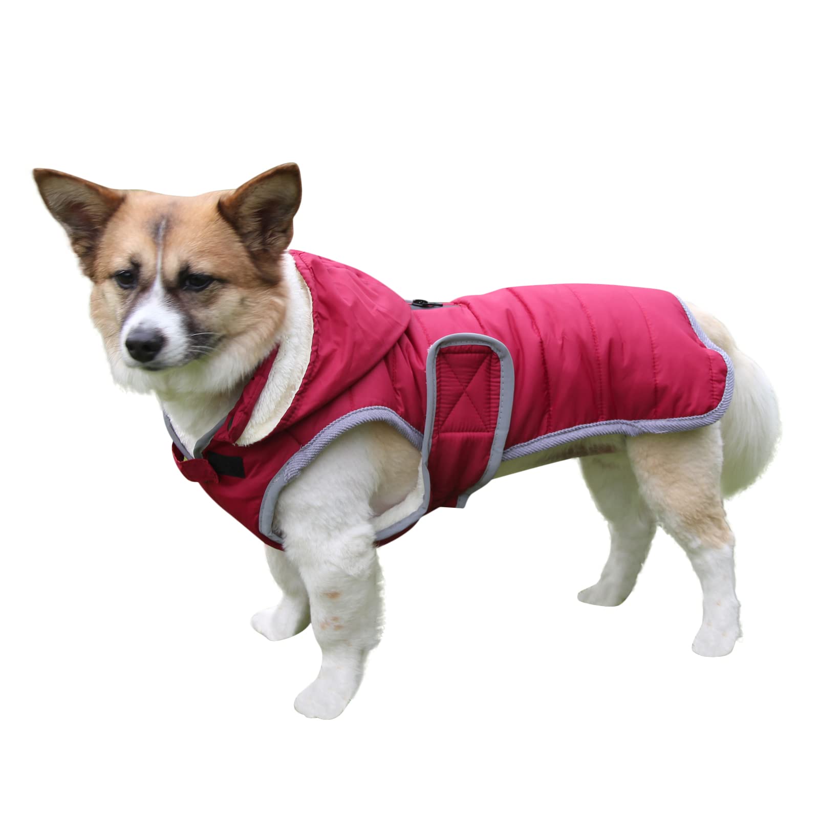 Waterproof fleece dog coat Clearance