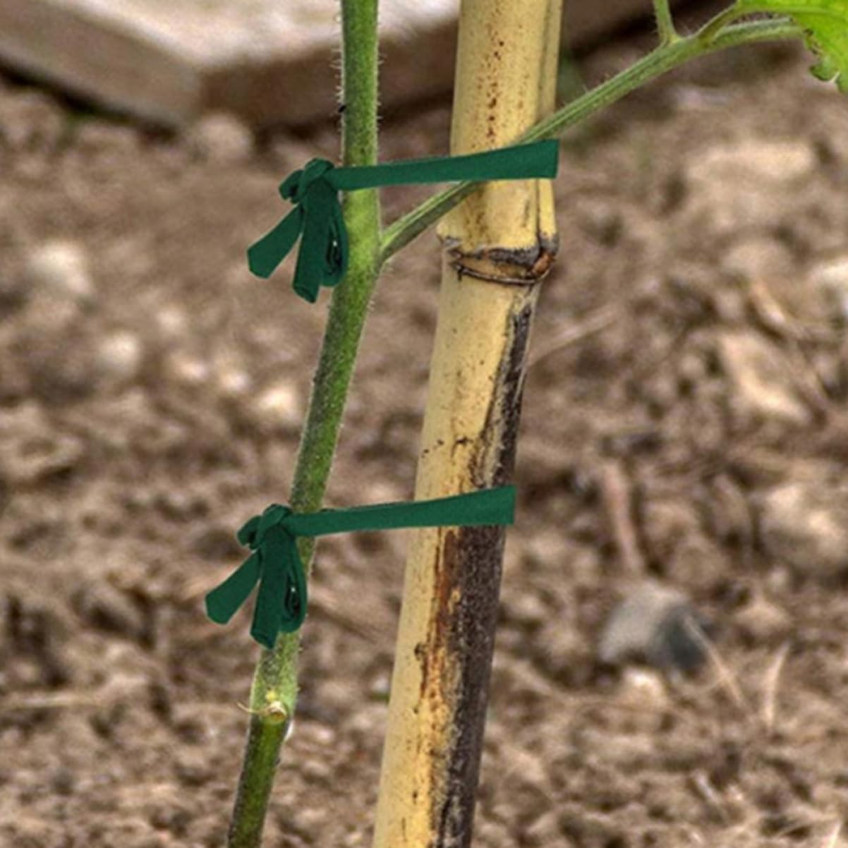 TOYANDONA 4rollen Baumstützband Elastisches Pflanzenband Sicheren Baumunterstützung Bei Wind Und Strapazierfähiges Wetterfestes Material Für Garten